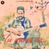 About Tu Mera Ae Song